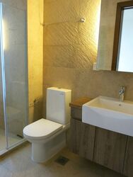 Eleven @ Holland (D10), Terrace #320649481